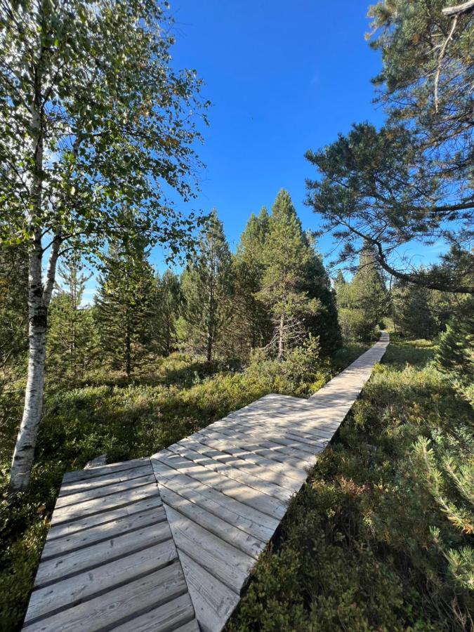 Apartment Annis Panoramablick Pool Sauna Tennis Schonach im Schwarzwald Zewnętrze zdjęcie