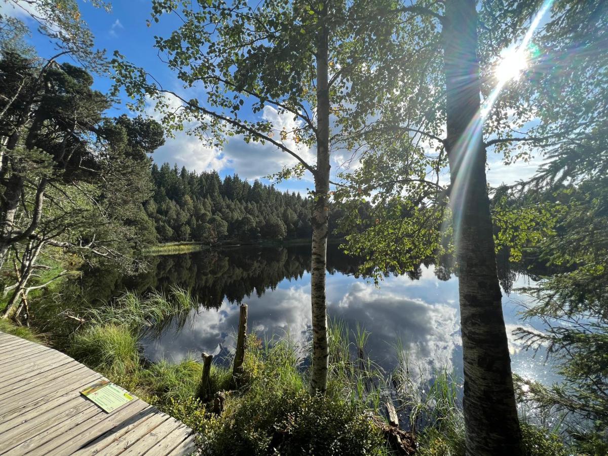 Apartment Annis Panoramablick Pool Sauna Tennis Schonach im Schwarzwald Zewnętrze zdjęcie