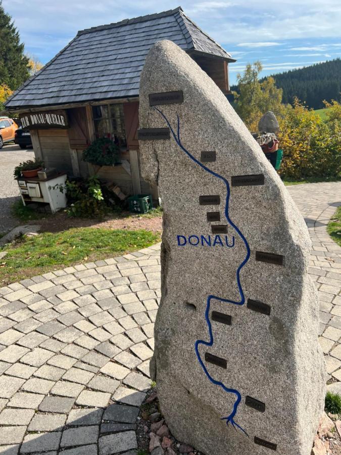 Apartment Annis Panoramablick Pool Sauna Tennis Schonach im Schwarzwald Zewnętrze zdjęcie
