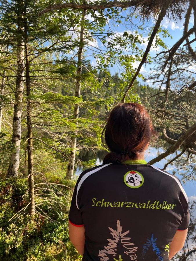 Apartment Annis Panoramablick Pool Sauna Tennis Schonach im Schwarzwald Zewnętrze zdjęcie